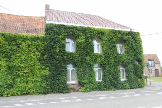 Eerste alternatieve foto van het pand