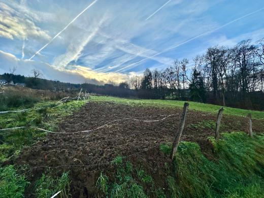 Tweede alternatieve foto van het pand