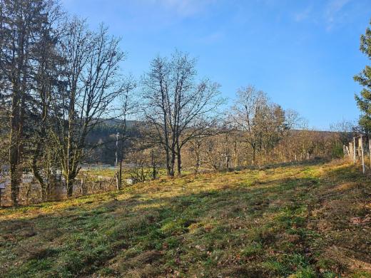 Presentatiebeeld van het pand n° 293852