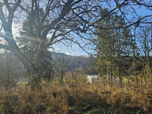 Derde alternatieve foto van het pand