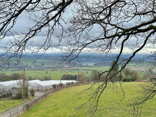 Eerste alternatieve foto van het pand