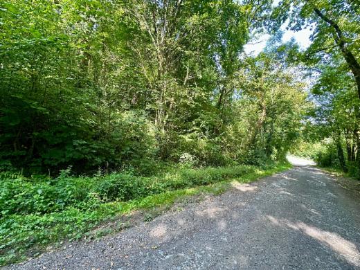 Derde alternatieve foto van het pand