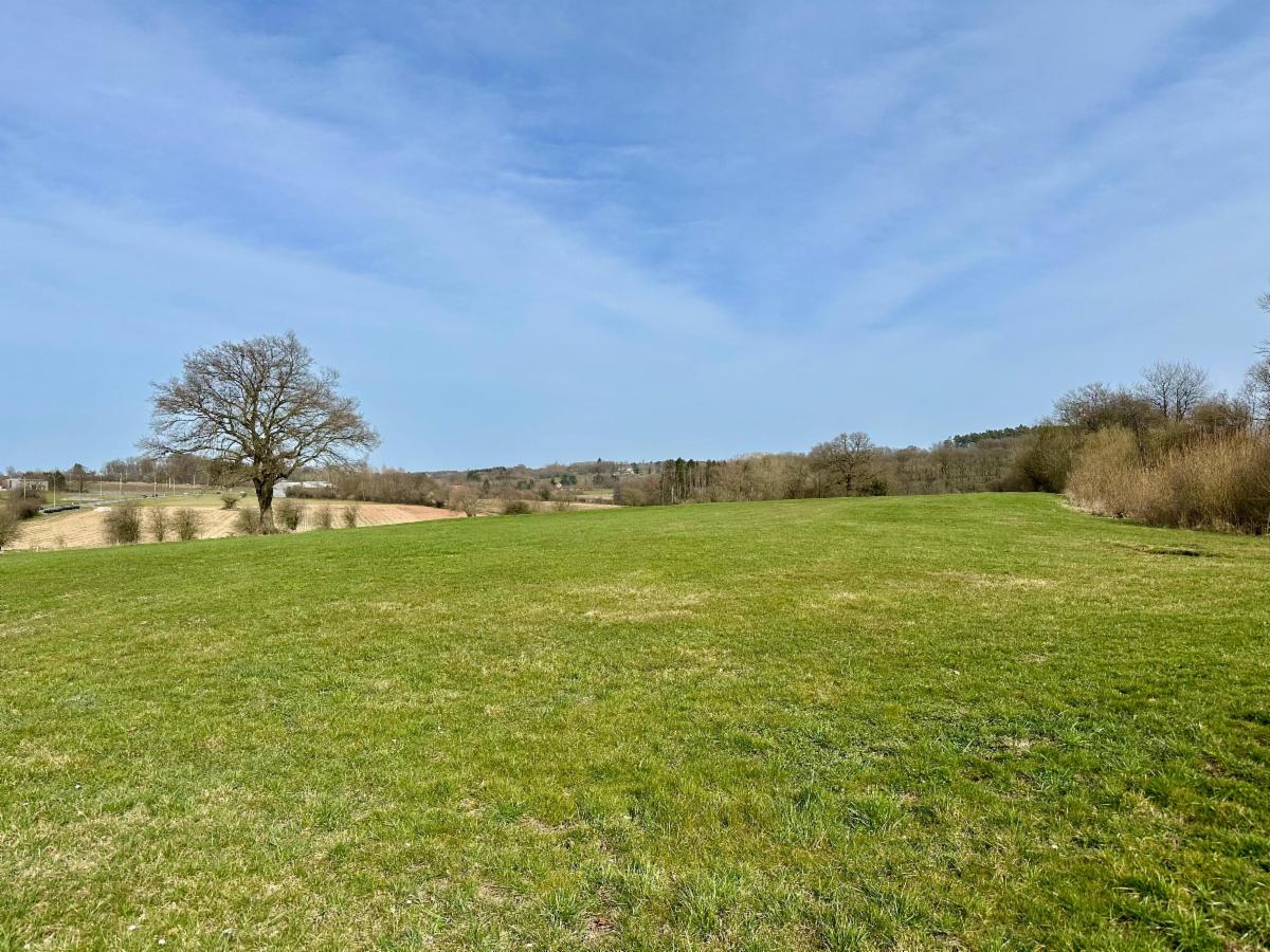 Presentatiebeeld van het pand n° 294801