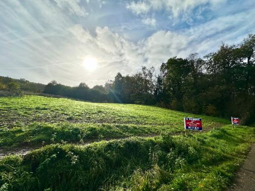 Presentatiebeeld van het pand n° 303554
