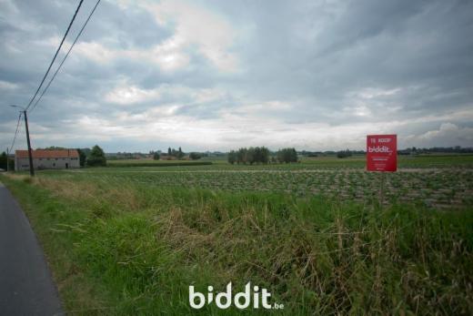 Eerste alternatieve foto van het pand