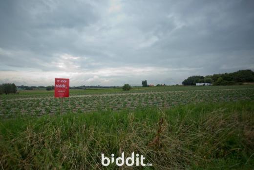 Derde alternatieve foto van het pand