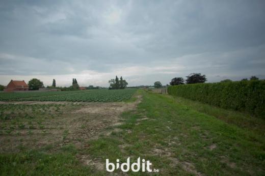 Tweede alternatieve foto van het pand