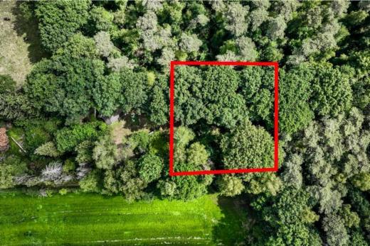 Presentatiebeeld van het pand n° 284831