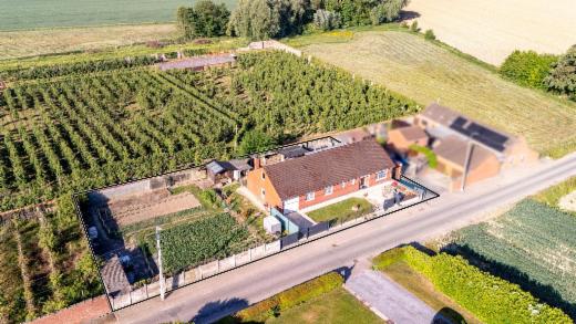 Presentatiebeeld van het pand n° 283125