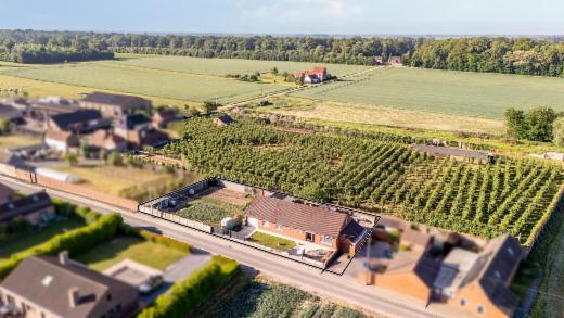 Eerste alternatieve foto van het pand