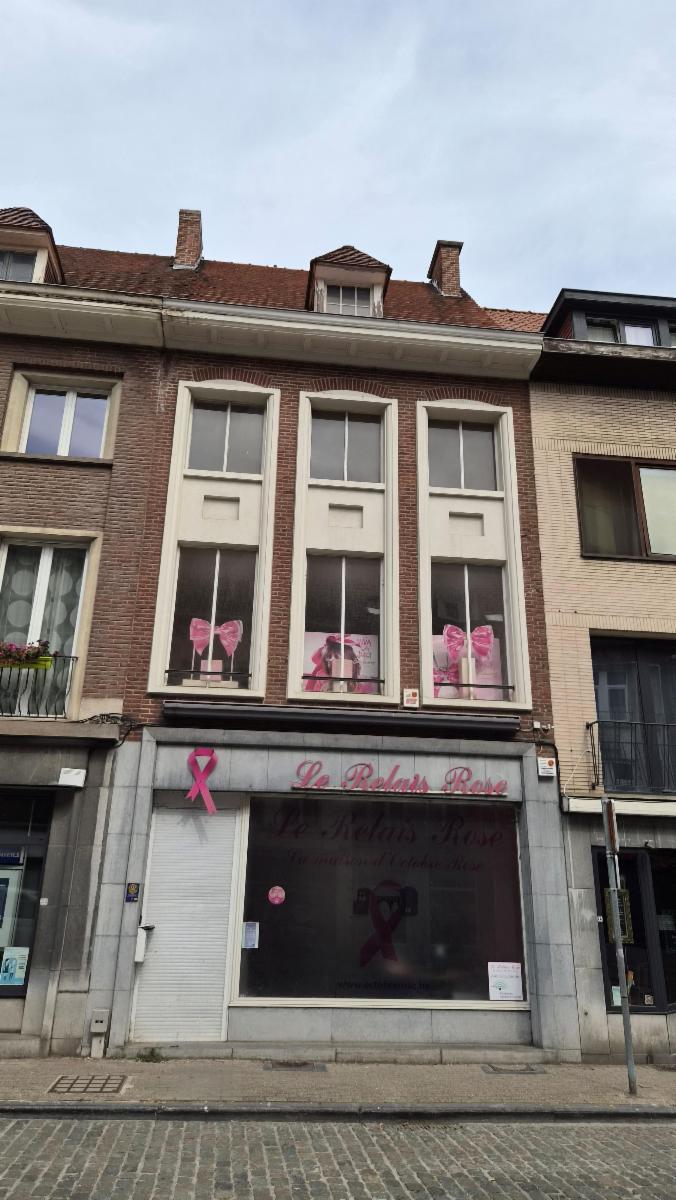 Presentatiebeeld van het pand n° 299908