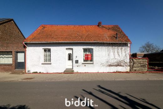 Presentatiebeeld van het pand n° 282910