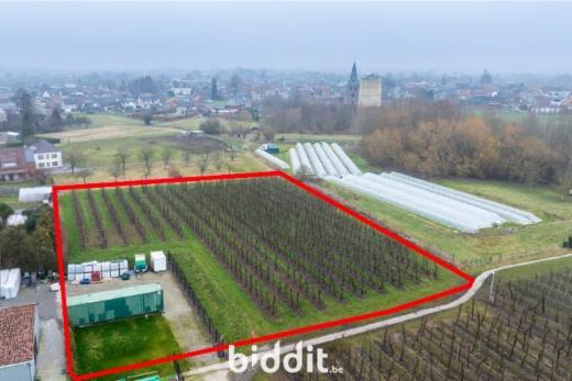 Tweede alternatieve foto van het pand