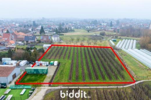 Derde alternatieve foto van het pand