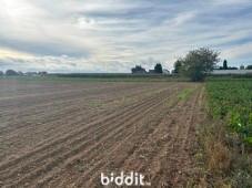 Presentatiebeeld van het pand n° 299716