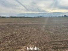 Eerste alternatieve foto van het pand