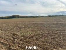 Tweede alternatieve foto van het pand
