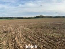 Derde alternatieve foto van het pand