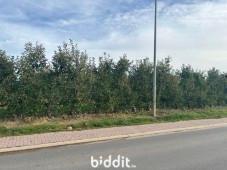 Presentatiebeeld van het pand n° 299717