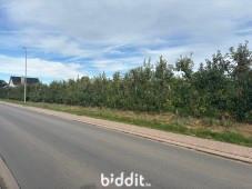Derde alternatieve foto van het pand