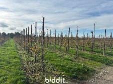 Presentatiebeeld van het pand n° 299718