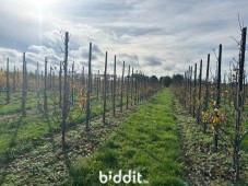 Eerste alternatieve foto van het pand