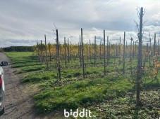 Tweede alternatieve foto van het pand
