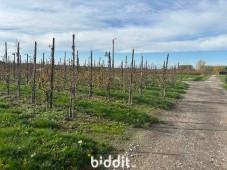 Derde alternatieve foto van het pand