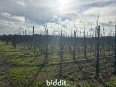 Derde alternatieve foto van het pand