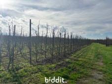 Presentatiebeeld van het pand n° 299720