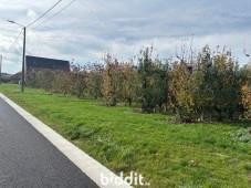 Tweede alternatieve foto van het pand