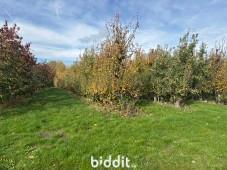 Derde alternatieve foto van het pand