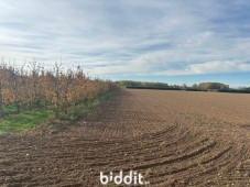 Tweede alternatieve foto van het pand
