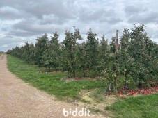Presentatiebeeld van het pand n° 299729