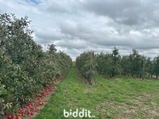 Derde alternatieve foto van het pand
