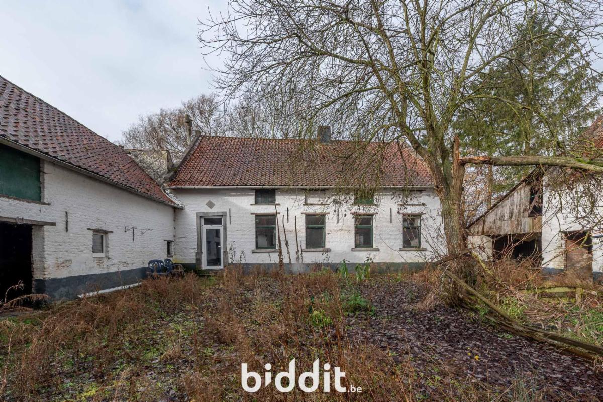 Presentatiebeeld van het pand n° 293107