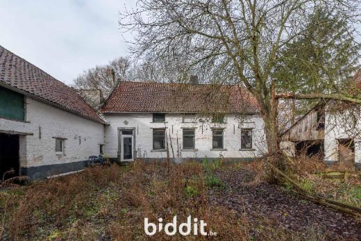 Presentatiebeeld van het pand n° 293107