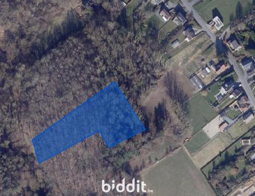 Eerste alternatieve foto van het pand