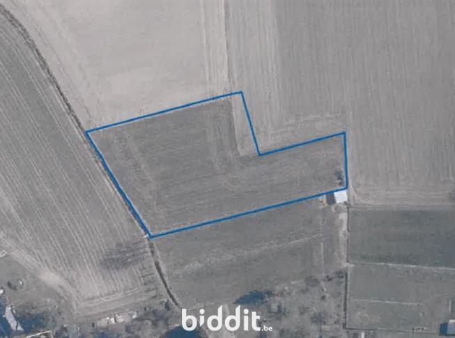 Presentatiebeeld van het pand n° 296402