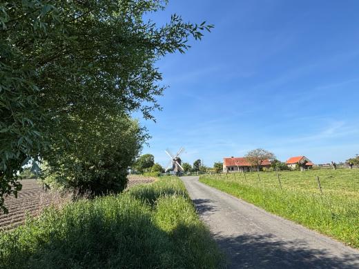 Presentatiebeeld van het pand n° 301286