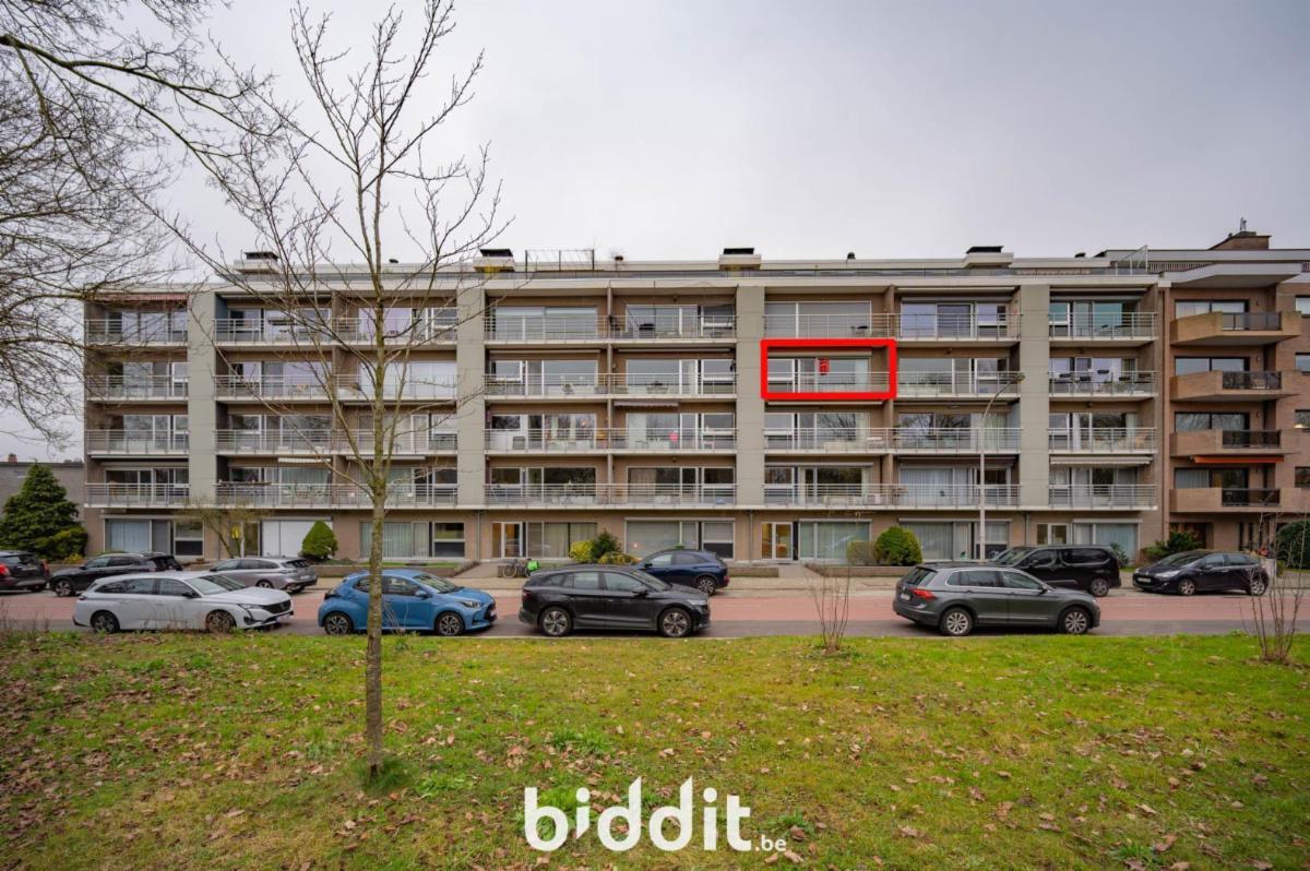 Presentatiebeeld van het pand n° 295075