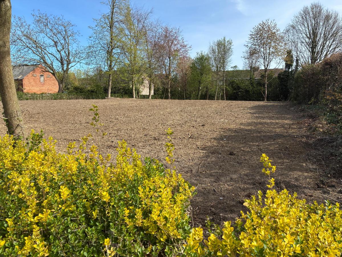 Presentatiebeeld van het pand n° 295708