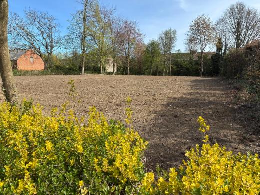 Presentatiebeeld van het pand n° 295708