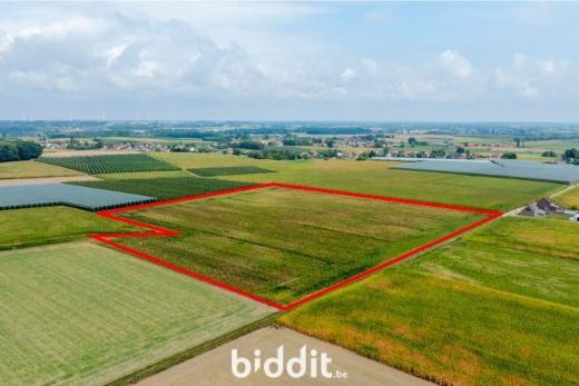 Presentatiebeeld van het pand n° 286481