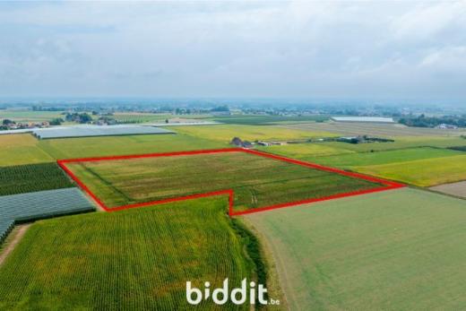 Tweede alternatieve foto van het pand