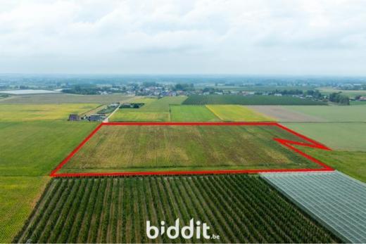 Derde alternatieve foto van het pand