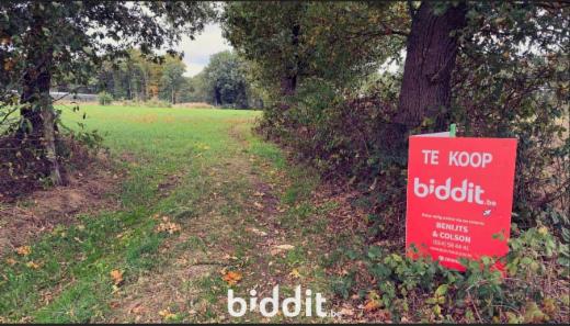 Tweede alternatieve foto van het pand