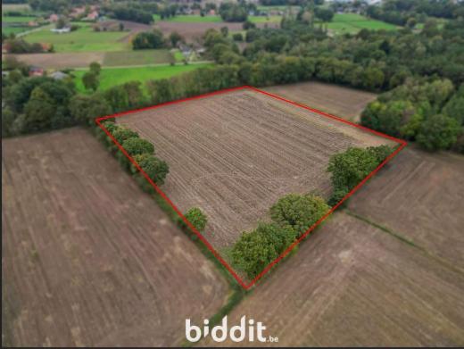 Presentatiebeeld van het pand n° 288421