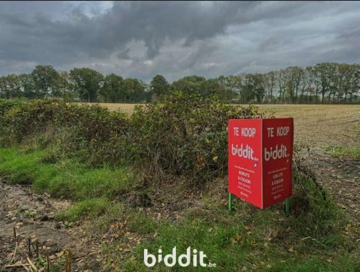 Eerste alternatieve foto van het pand