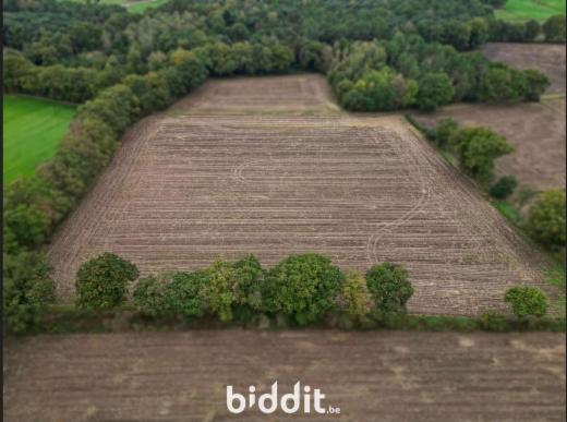 Tweede alternatieve foto van het pand